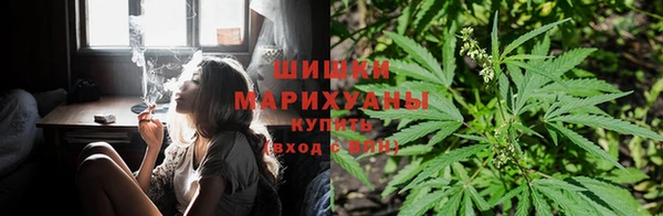 мяу мяу кристалл Няндома
